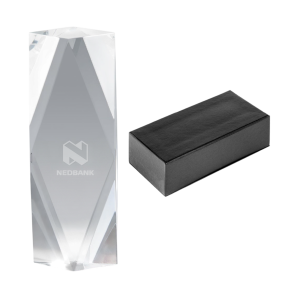 Altitude Tesla Tower Award